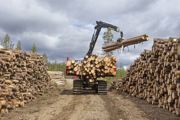 Аренда форвардера Komatsu 875